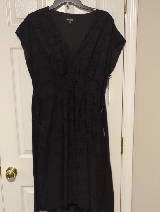 Kensie Dresses & Skirts - NWT! Kensie V-Neck Mid-length Eyelet Dress